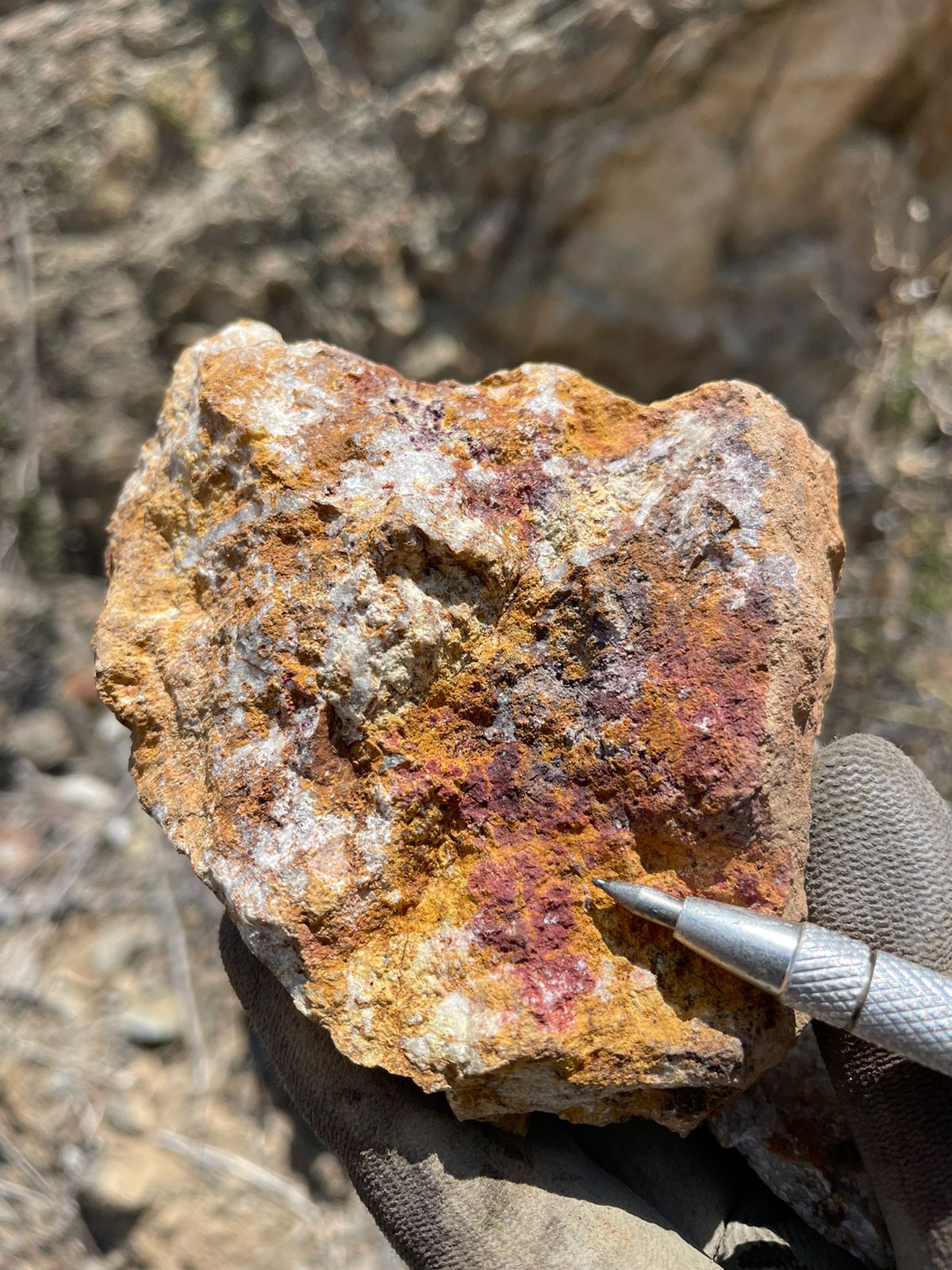 Prospección Geológica